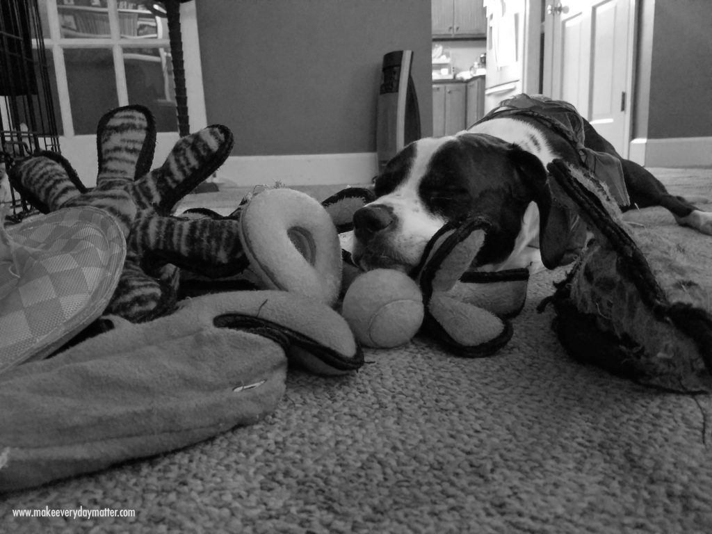 Skipper 2a watermark