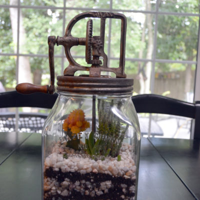 How to Kill a Cactus part 1