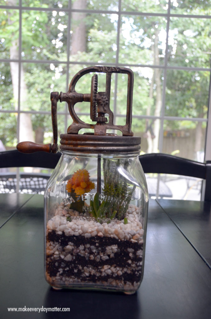 cactus blog watermark