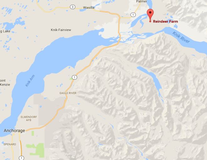 reindeer-farm-palmer